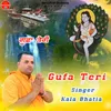 Gufa Teri